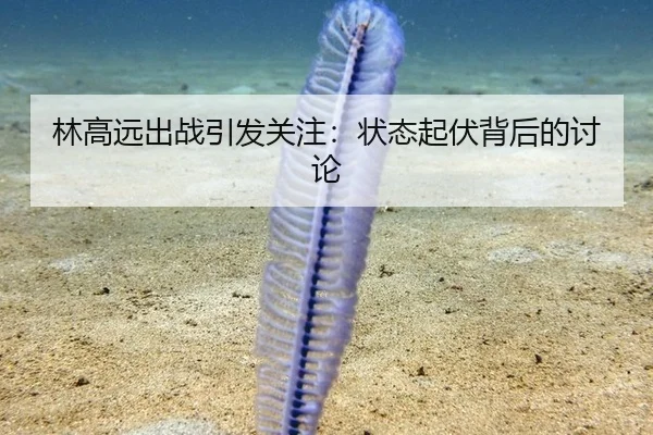 林高远出战引发关注：状态起伏背后的讨论